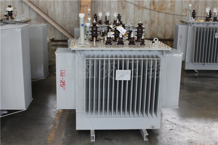 黑河S20-800kVA/10kV/0.4kV变压器